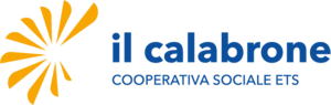 Home page di Il Calabrone